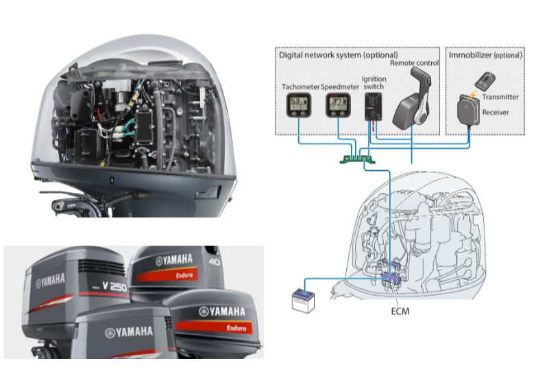 Yamaha Outboard Diagnostics