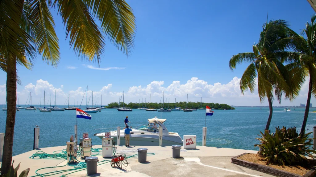 Crandon Park Marina