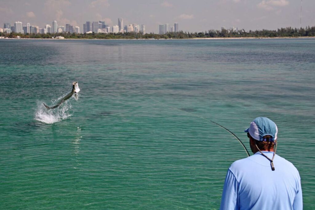 Crandon Park Marina