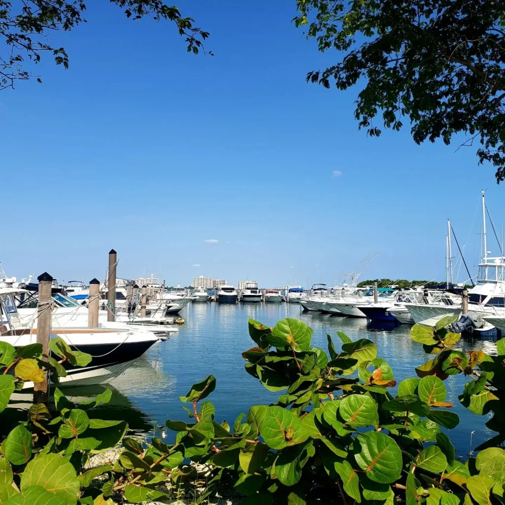 Pelican-Harbor-Marina-has-several-marinas-with-wetslips-for-boats-of-different-sizes-1024x1024 Pelican Harbor Blueways