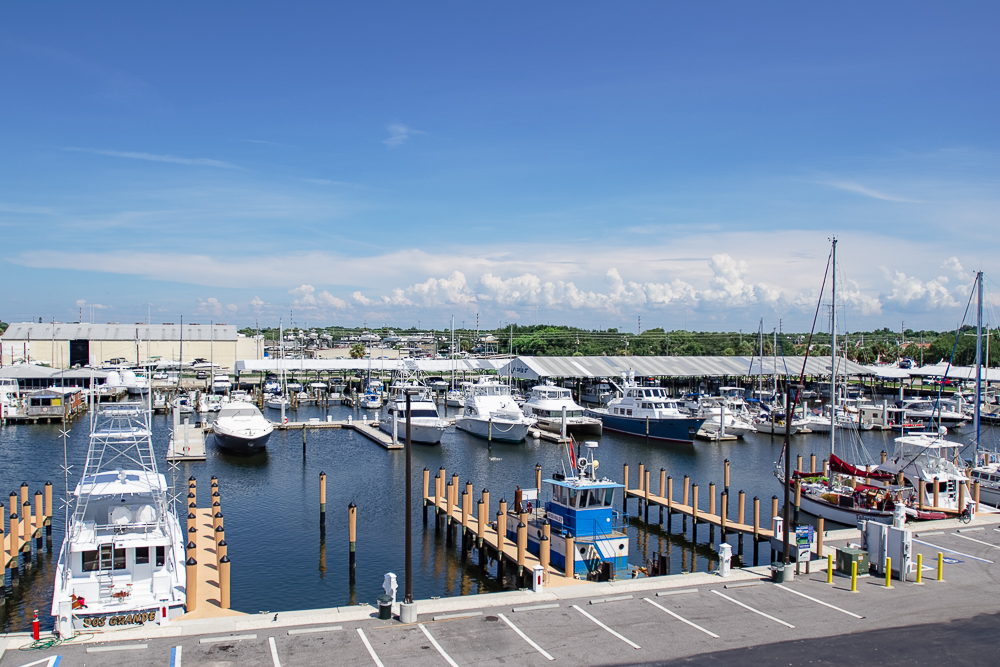 Maximo Marina - St. Petersburg