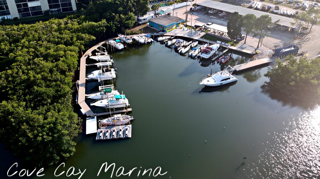 Cove Cay Marina - Clearwater