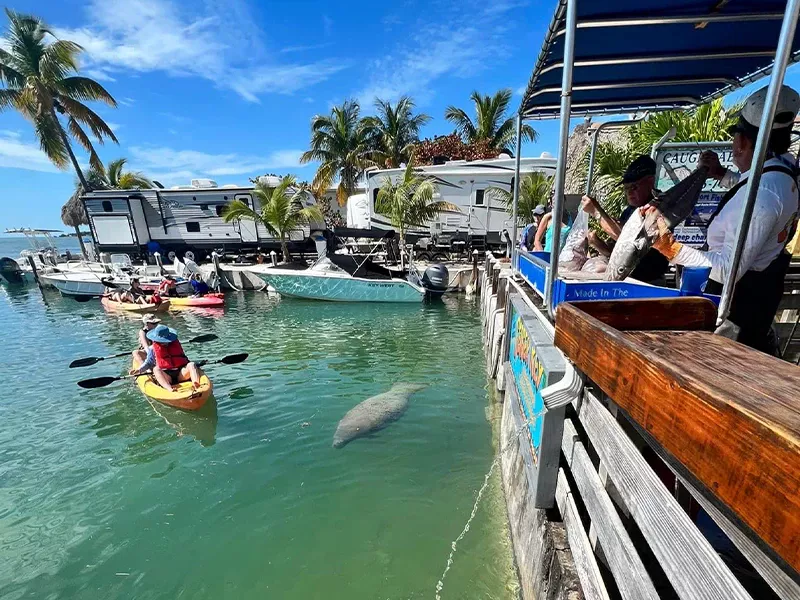 Geiger Key Marina & RV Campground - Key West