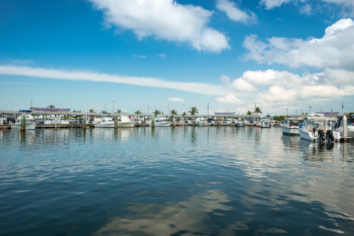 City Marina at Garrison Bight