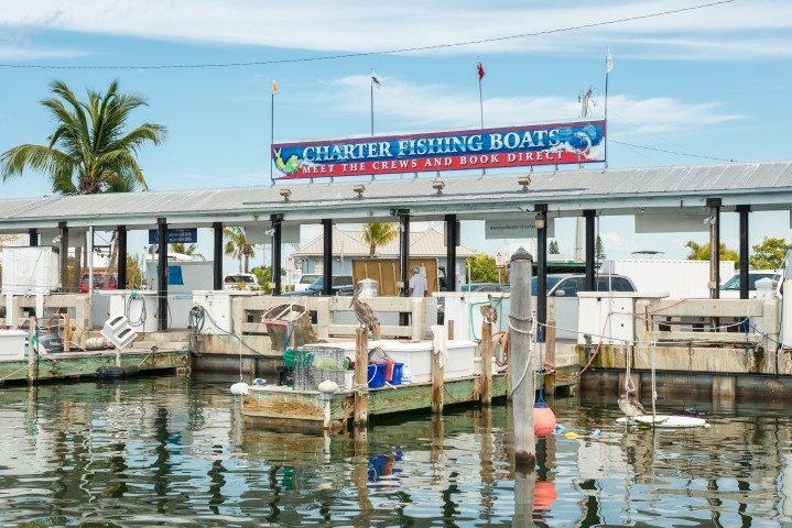 City Marina at Garrison Bight - Key West