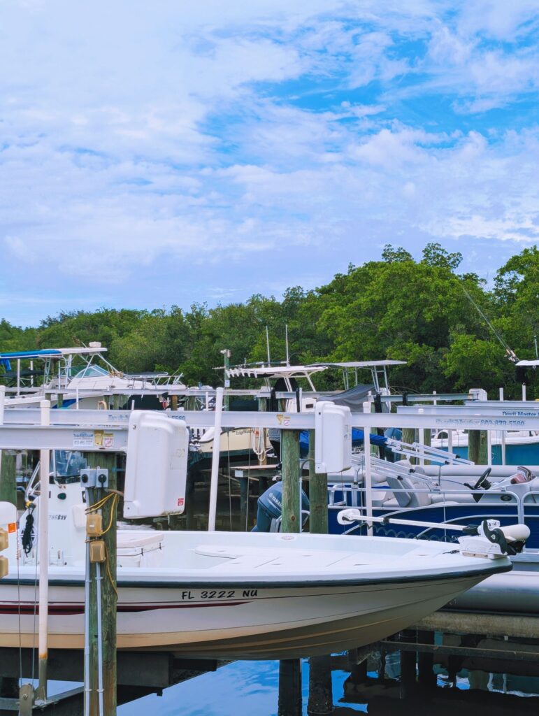 Cove Cay Marina - Clearwater 