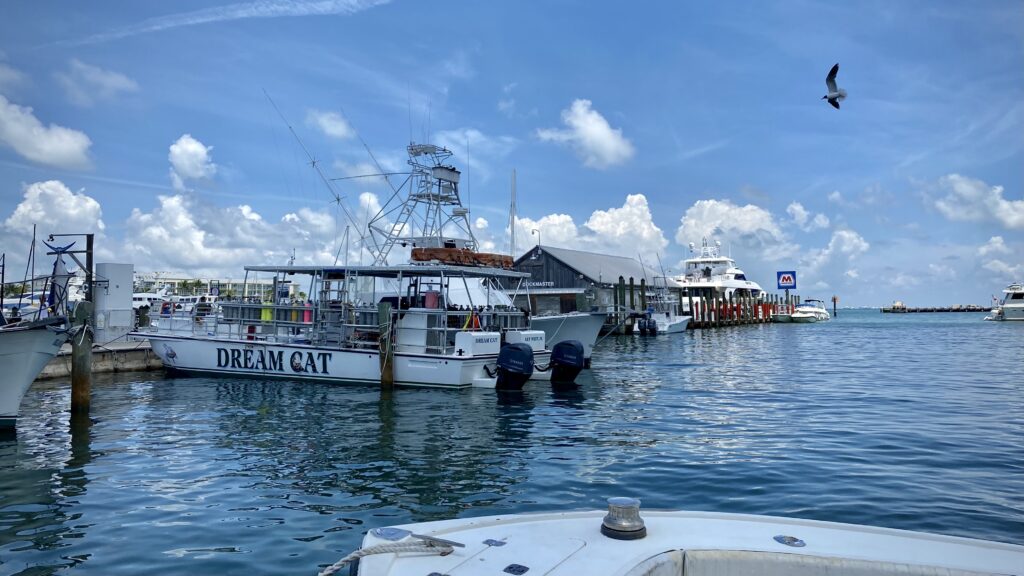 Key West Bight Marina