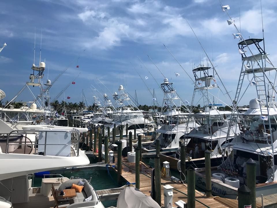 Conch Harbor Marina - Key West