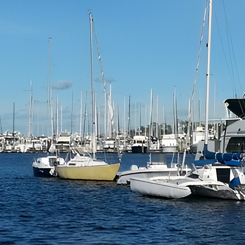 Bill Dye Marina