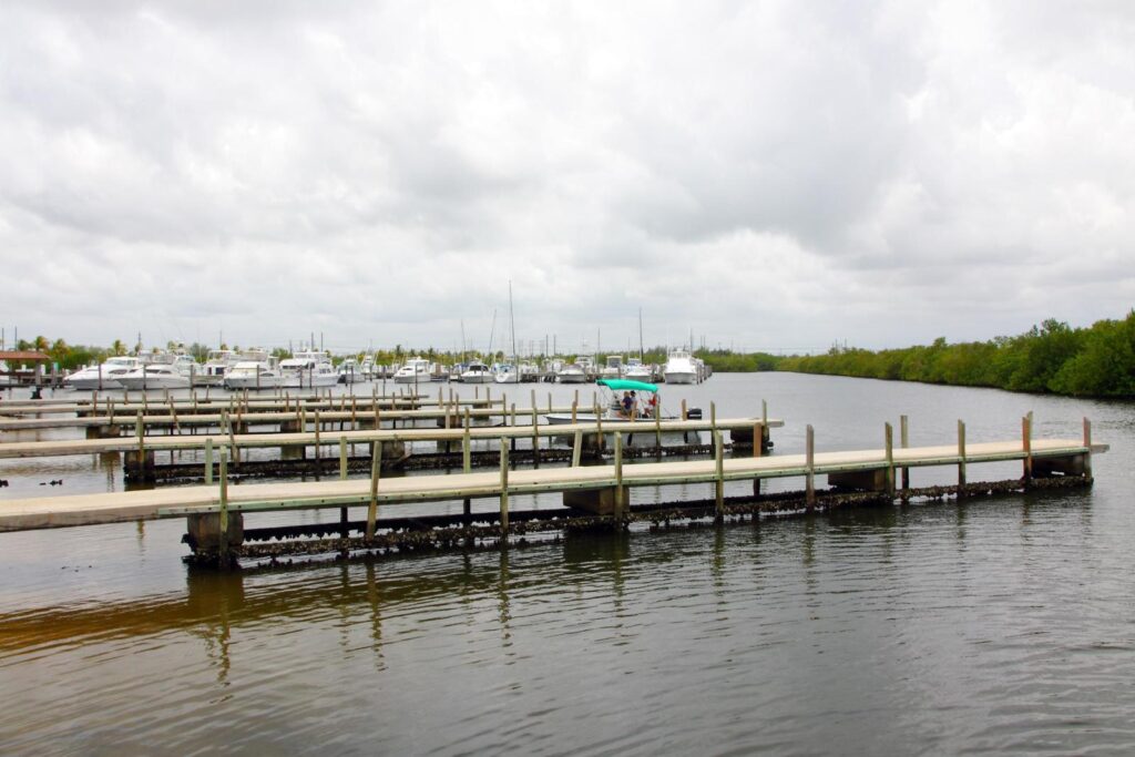 Homestead Bayfront Park Marina