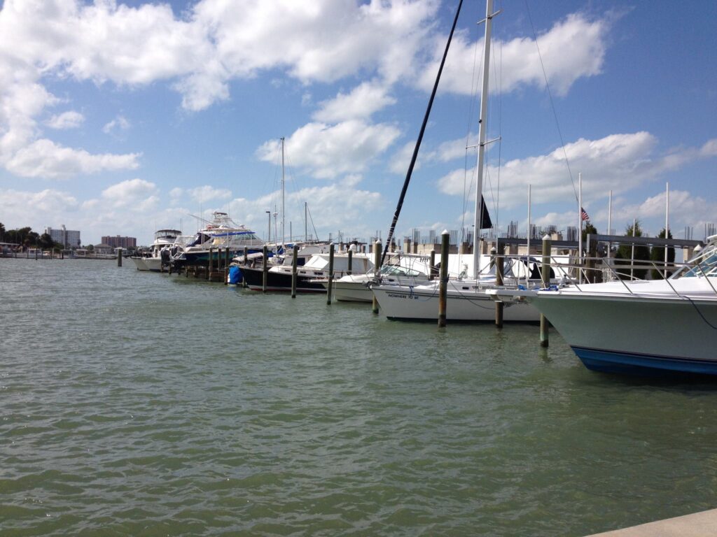 Clearwater Basin Marina - Clearwater 