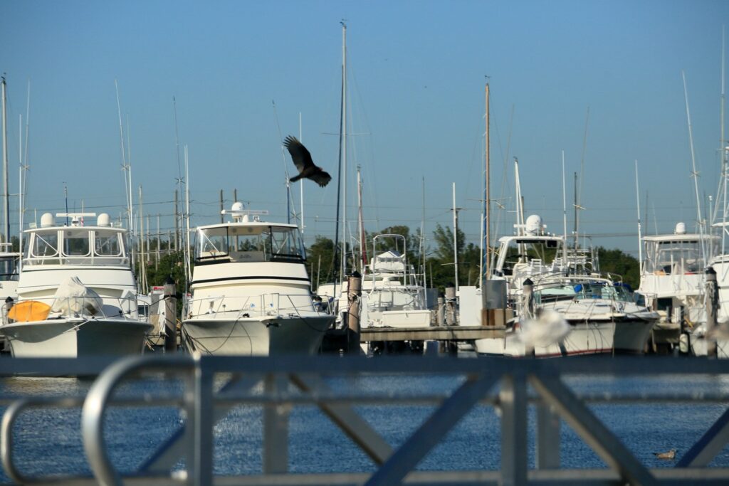 Homestead Bayfront Park Marina