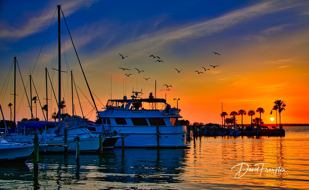 Dunedin Marina - Dunedin