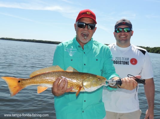 KSK Marina - Clearwater