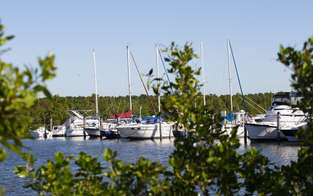 Homestead Bayfront Park Marina