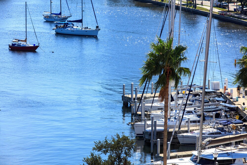 The Vinoy Club Marina - St. Petersburg