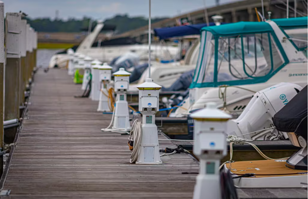 Loggerhead Marina - Hollywood
