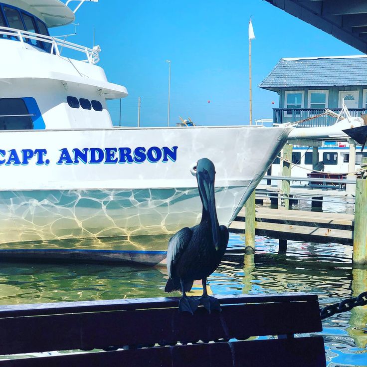 Capt. Anderson’s Marina