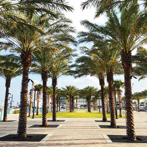 Riviera Beach Marina Village