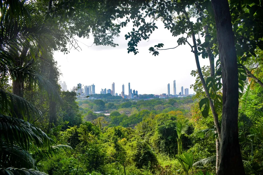 Metropolitan Park Marina