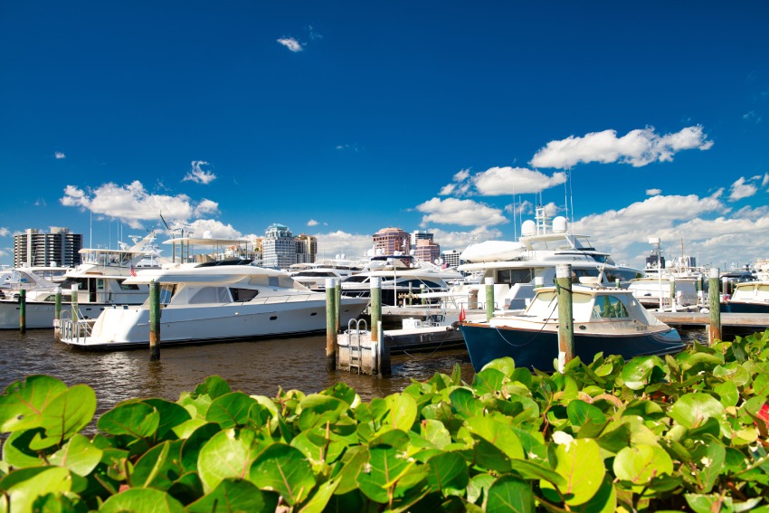 Palm Harbor Marina
